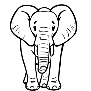 Frontale Olifant Tekening