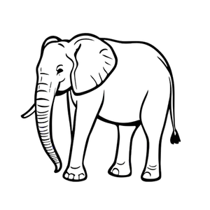 Afrikaanse Olifant Zijaanzicht
