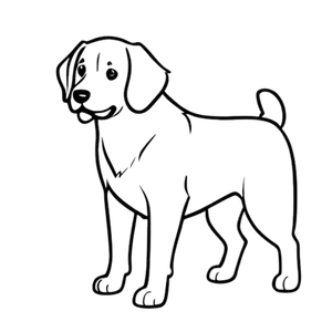 Golden Retriever Illustratie