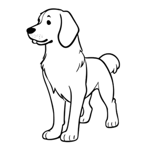 Golden Retriever Lijntekening