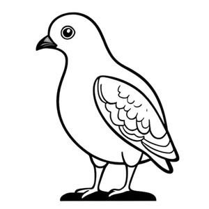 Eenvoudige Duif Tekening