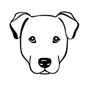 Labrador Retriever Hoofd