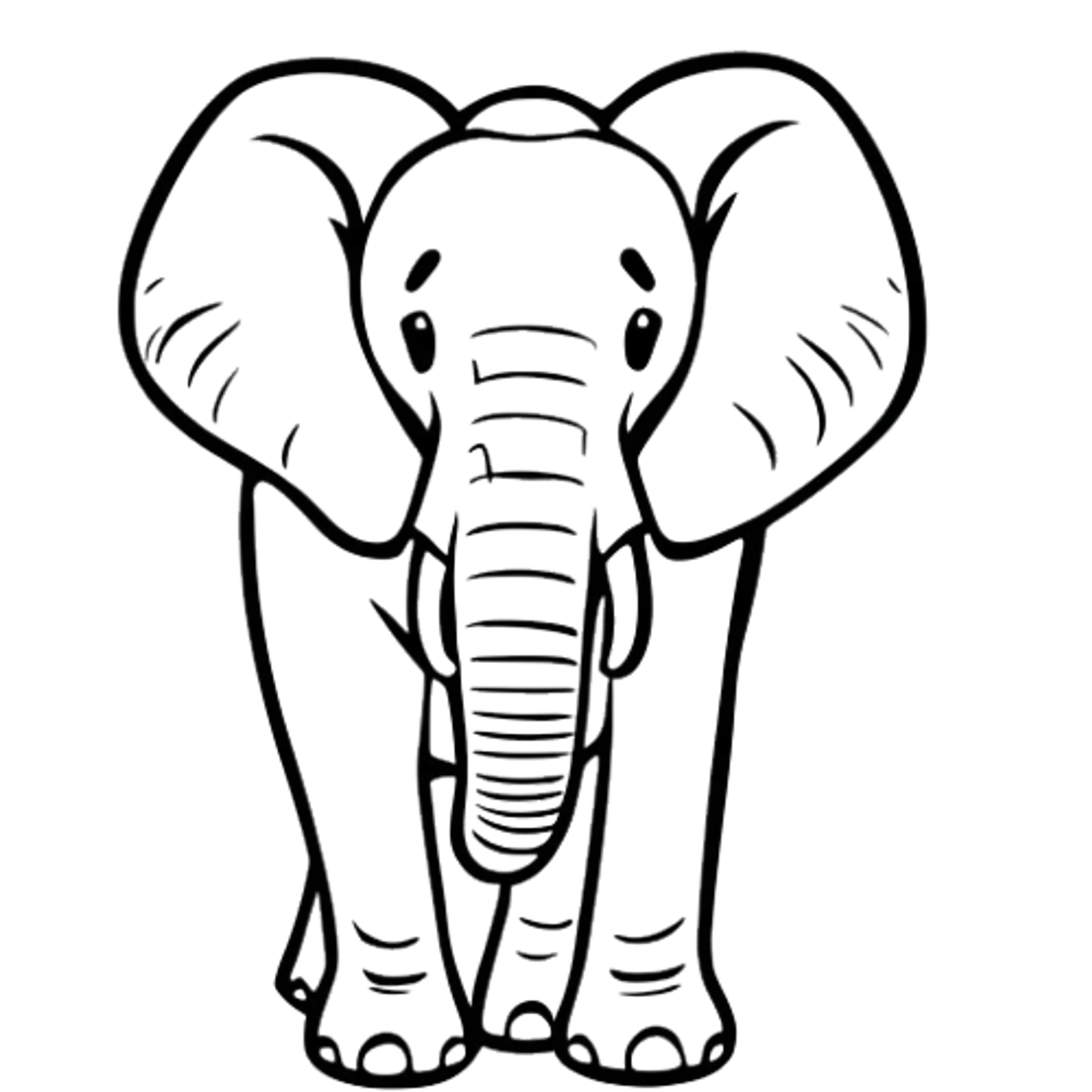 Frontale Olifant Tekening