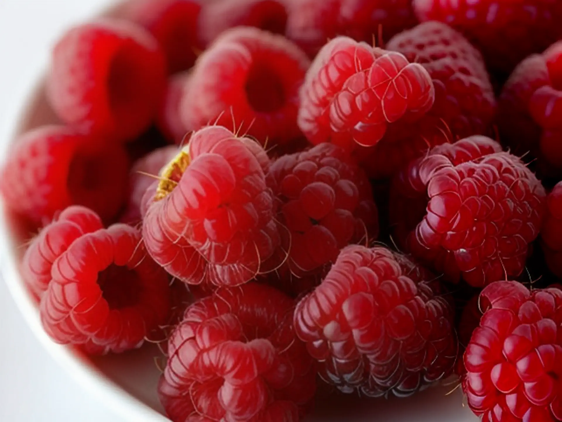 Verse rode frambozen in close-up - sappig zomerfruit macro fotografie
