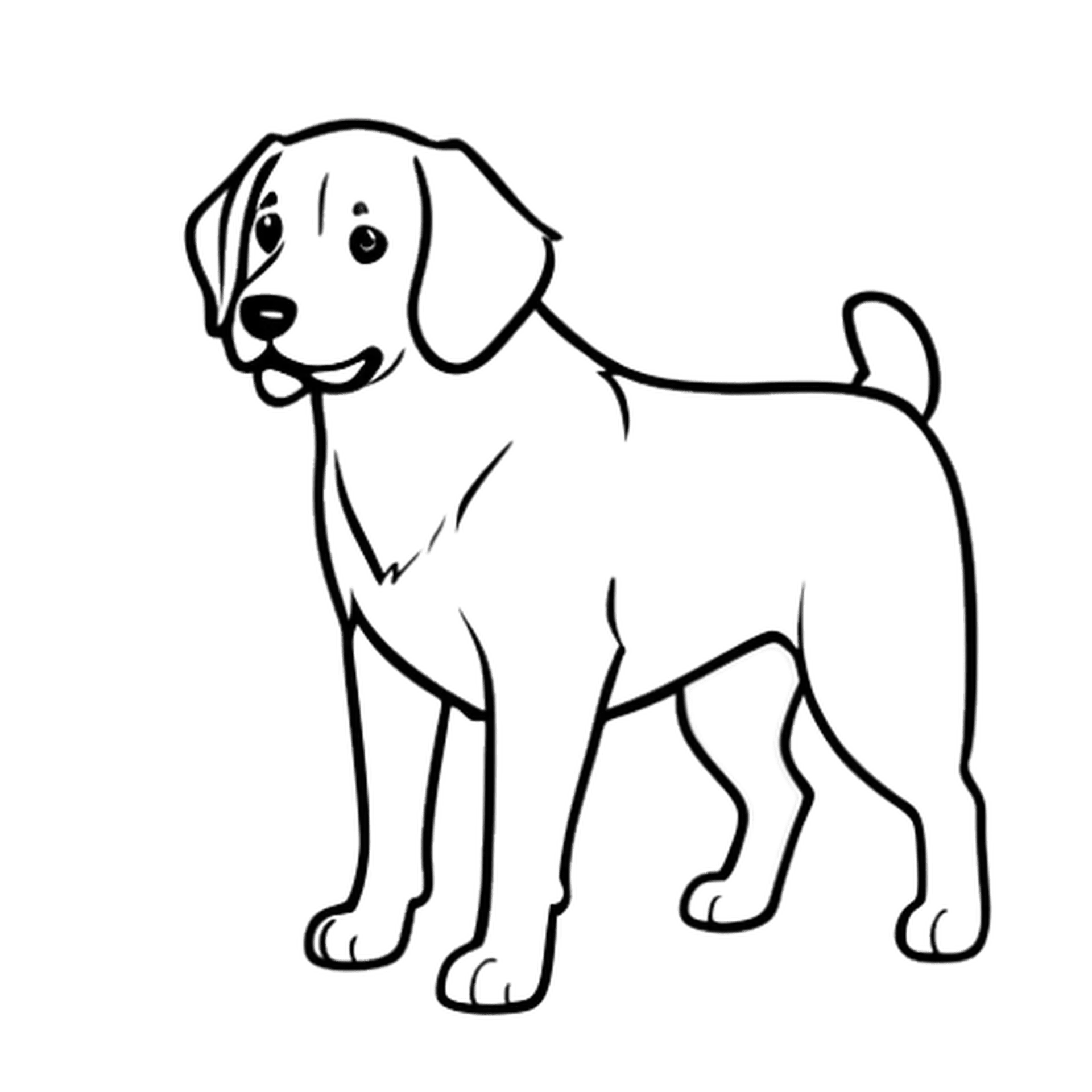 Golden Retriever Illustratie