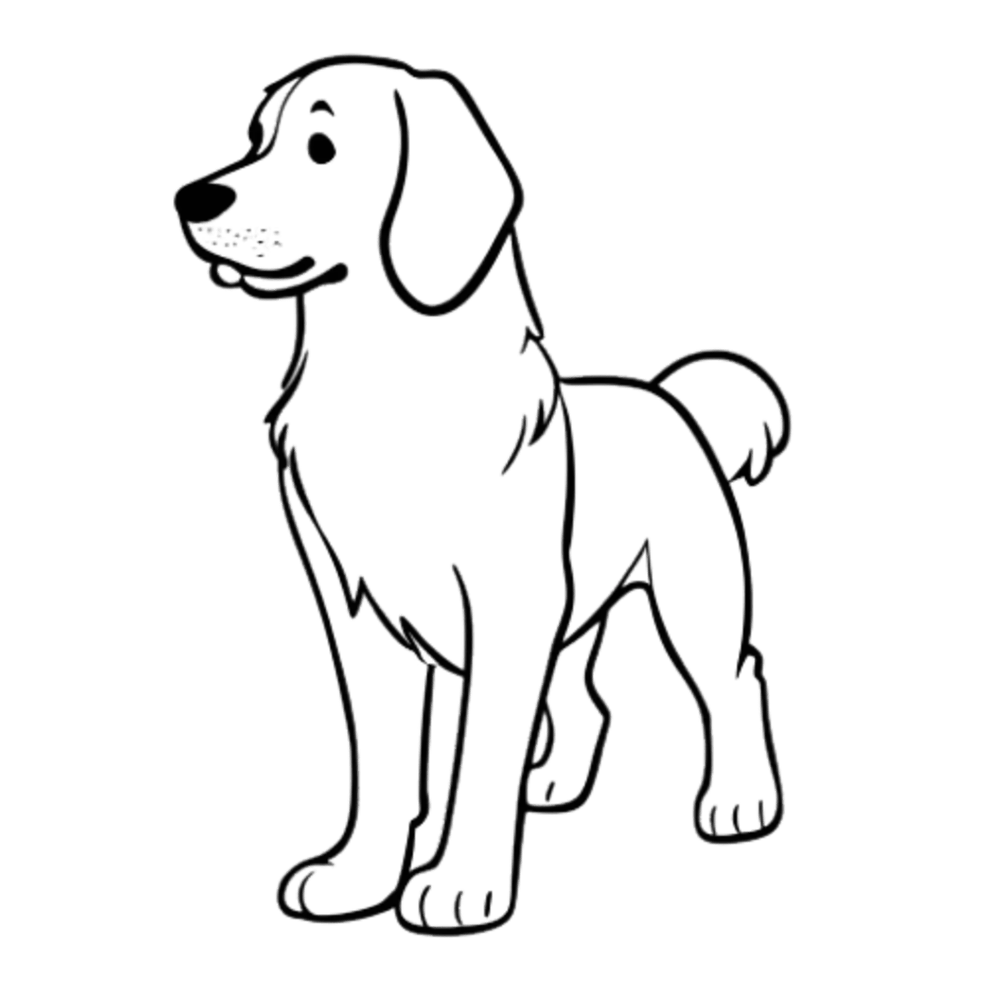 Golden Retriever Lijntekening