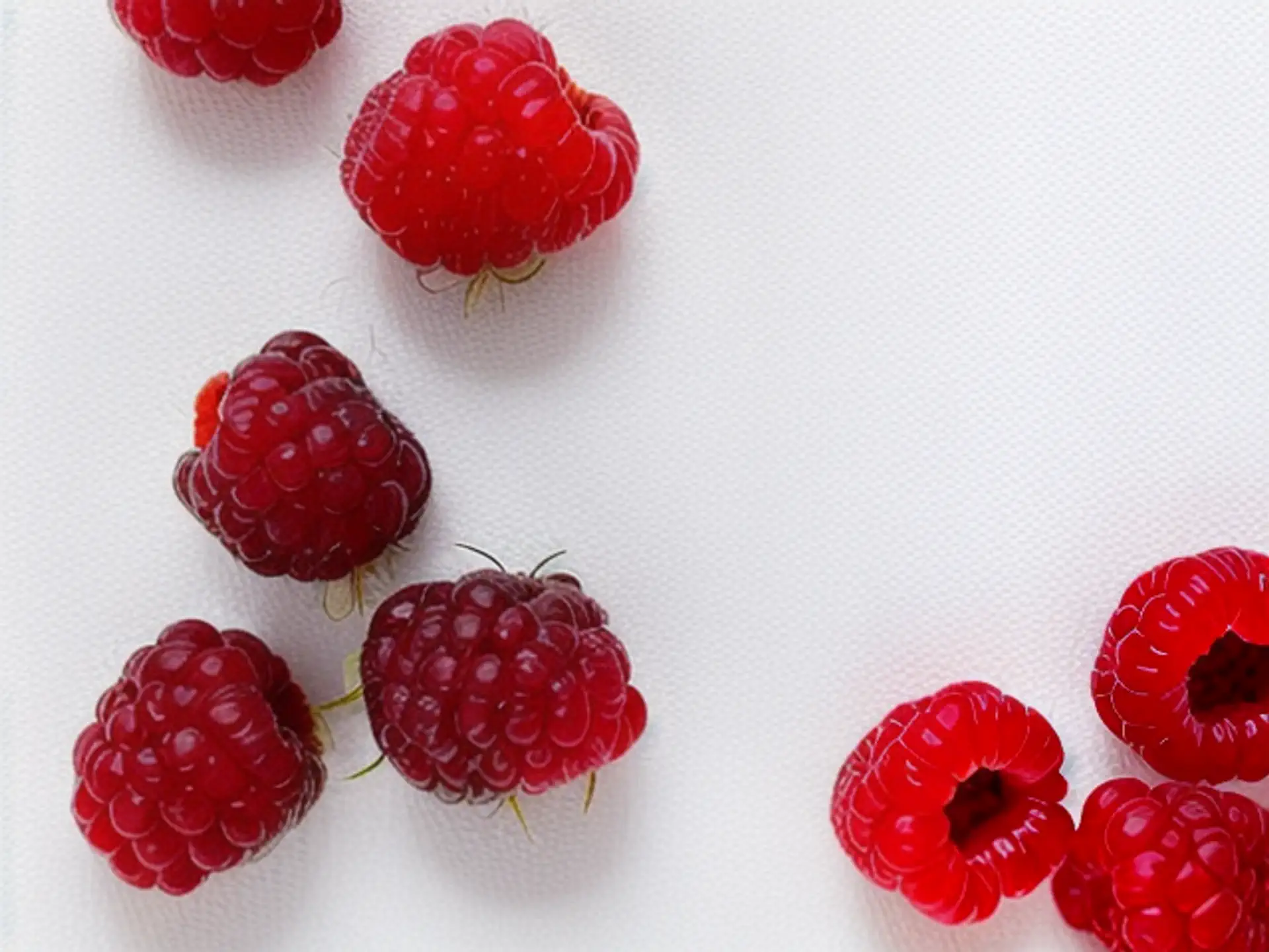 Verse rode frambozen op witte achtergrond - close-up fruit fotografie