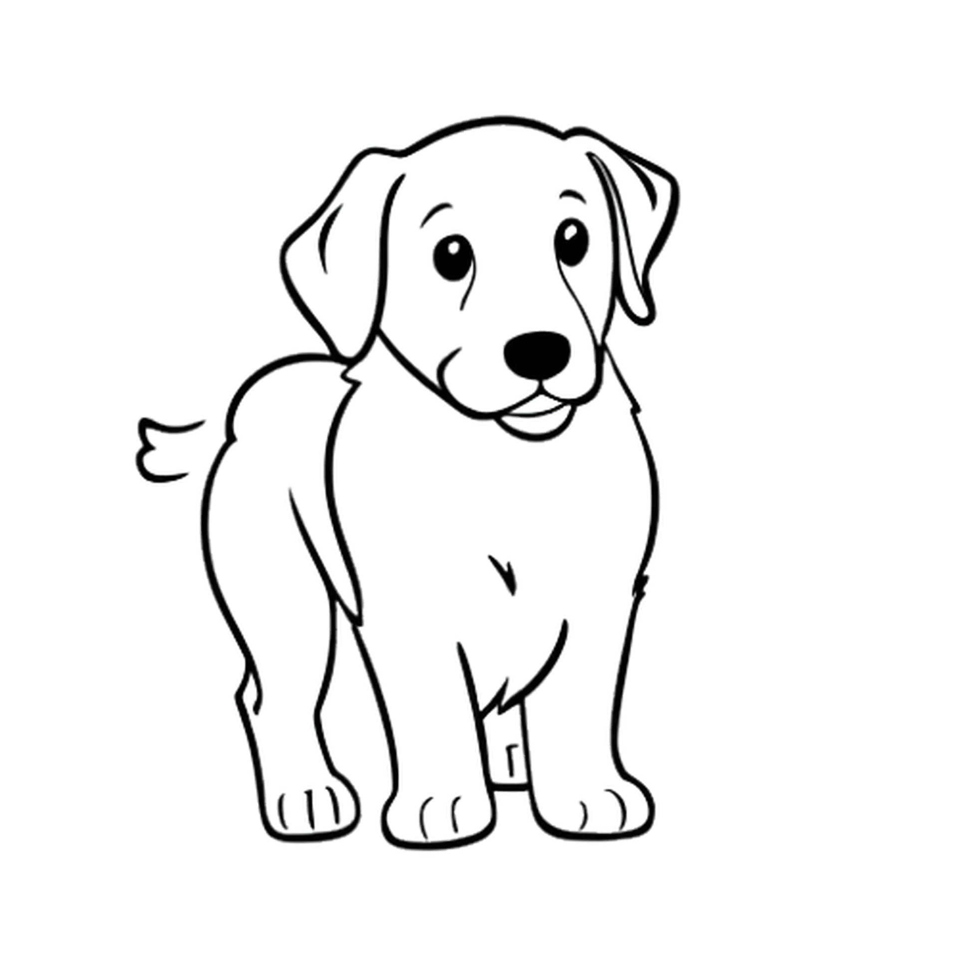 Golden Retriever Kleurplaat