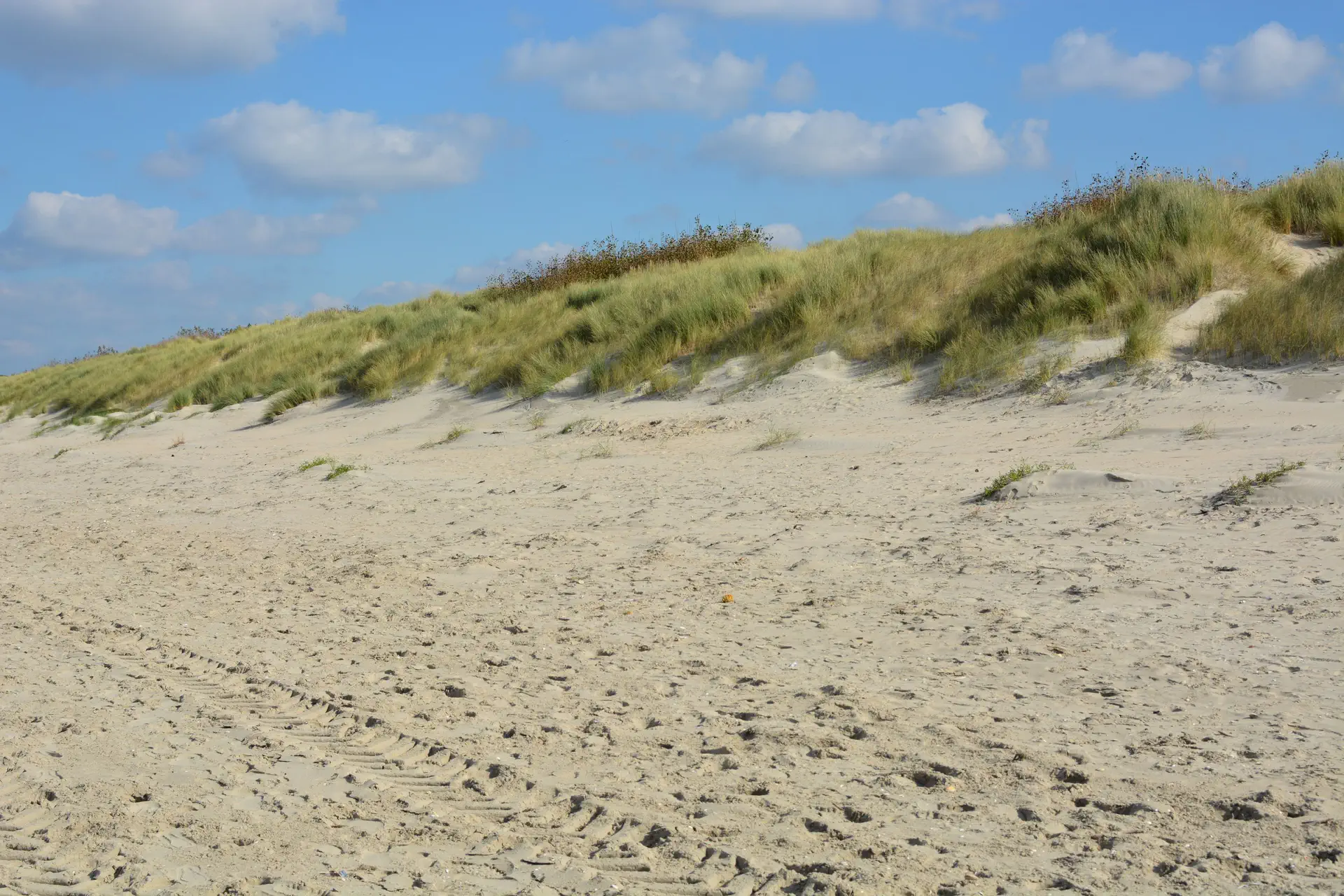 Duinen